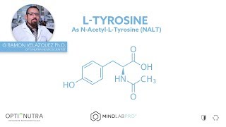 NAcetyl LTyrosine with Dr Ramon Velazquez PhD  Mind Lab Pro® [upl. by Assilen980]