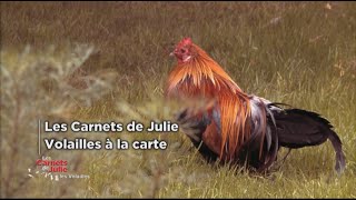 Les volailles à la carte  Les carnets de Julie [upl. by Cooper]