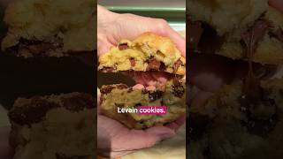 Levain Cookie Recipe Copycat [upl. by Nitsew]