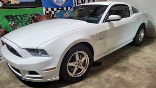 2014 Mustang on E85 amp cold start [upl. by Eerot]