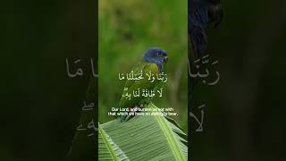 Surah AlBaqarah Verse 286  A Message of Strength and Mercy  القرآن الكريم 286 [upl. by Ellyn965]