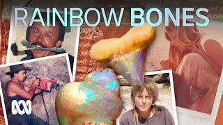 Opalised fossils are natural marvels These are the women fighting to protect them🦴🌈  ABC Australia [upl. by Yates]