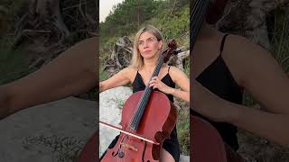 The Swan cello cover  Maria Opera [upl. by Larsen]