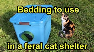 Bedding to use in a feral cat shelter [upl. by Poucher]