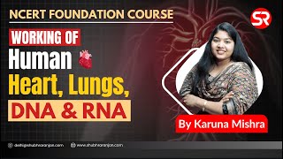 Live Lecture  Working of Human Heart and Lungs DNA and RNA  NCERT Foundation  Shubhra Ranjan IAS [upl. by Bornie751]