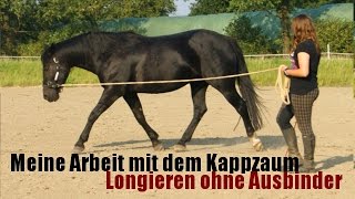 Meine Arbeit mit dem Kappzaum  Longieren ohne Ausbinder [upl. by Eibo]