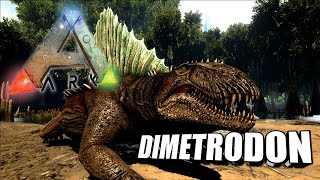 Taming A Dimetrodon  Ark Survival Evolved  The Island [upl. by Margie839]