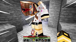 HO INCONTRATO ANNA SCP NEL MIO MONDO DI MINECRAFT [upl. by Nilorac]