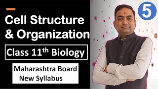 Cell Structure and Organization Class 11th Biology Part 5 [upl. by Nahtnanhoj978]