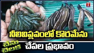 Chenu Chelaka  New Methods Of Koramenu Fish Farming  Koramenu Fish Farming By Parusharam  T News [upl. by Gnes]