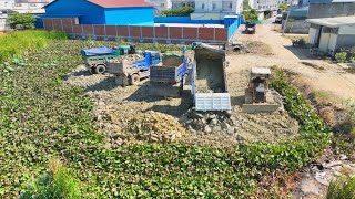 New Project Skills Operators BullDozer In Sand Cutting Soils On Grass​​​​ For Make Dump Trucks 5Ton [upl. by Hillhouse798]