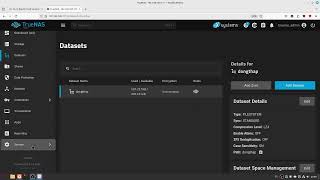 TrueNAS SCALE 2410 Electric Eel 2410BETA1 test apps Docker [upl. by Aihsiek487]