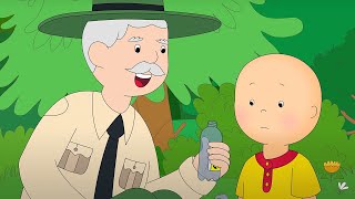 Caillou Meets the Park Ranger  Caillou  WildBrain [upl. by Kaitlynn69]