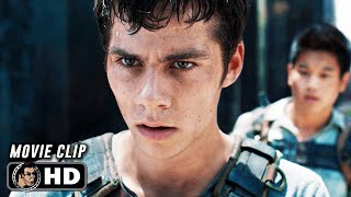 THE MAZE RUNNER Clip  quotThomas And Minho Survive The Mazequot 2014 [upl. by Yniffit]