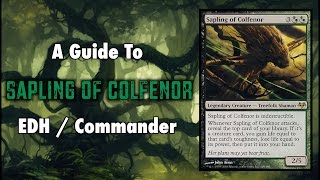 MTG  Treefolk Tribal  A Guide To EDH  Commander Sapling of Colfenor for Magic The Gathering [upl. by Sall]