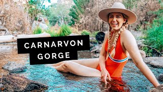 QUEENSLAND Travel Guide Carnarvon Gorge 🇦🇺 [upl. by Lledor]