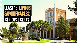 Lípidos Saponificables Céridos o Ceras [upl. by Eugeniusz]