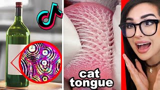 Cool Things I Learned On Tik Tok [upl. by Koorb428]