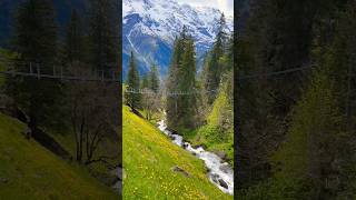 Beautiful Mountain Village of Murren switzerland lauterbrunnen mürren swissnature swissbeauty [upl. by Everara]