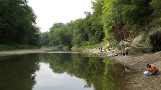 Mystery of Mazon Creek Shrimp Fossils [upl. by Babbette]