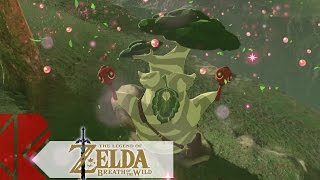 The Legend of Zelda Breath of the Wild  Episode 11 Le plus grand des Korogus [upl. by Scrivens]