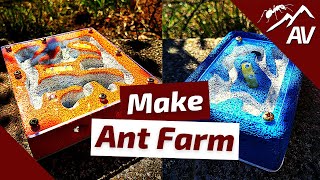 How to Build an Ant Farm  DIY Ytong Ant Nest Formicarium [upl. by Naaman]