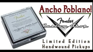 Fender Custom Shop Ancho Poblano Pickups [upl. by Ennad]