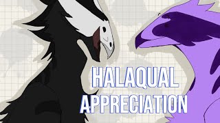 Halaqual Appreciation W Rxv3nxCatzz [upl. by Naerad]