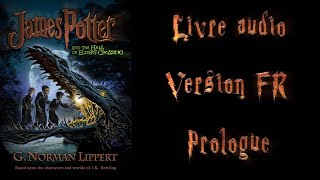 Livre audio vivant 🎧James Potter 1 FR 🎧 Prologue [upl. by Orabelle]