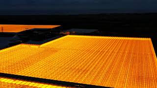 Alien Landscapes  Night time greenhouses [upl. by Lennej]