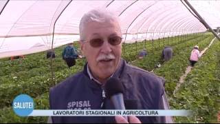 Lavoratori stagionali agricoltura [upl. by Sybil]