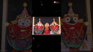 Rai damodar besh of Shri Jagannath mahaprabhu 🥰 Dt 14102024 [upl. by Cheffetz]