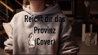 Reicht dir das  Provinz  Cover loooni [upl. by Hanus]