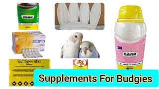 Budgies kay liya supplements calcium aur multivitamins  kaisay use karen  Complete Guide [upl. by Anallij996]