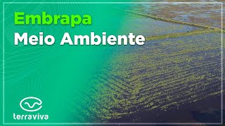 Estudo quantifica emissão de metano em arroz irrigado [upl. by Endora]