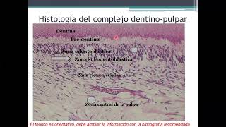 Patología Pulpar Periapical y Osteomielitis [upl. by Oz]