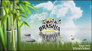 Tropical brasilia [upl. by Lysander]