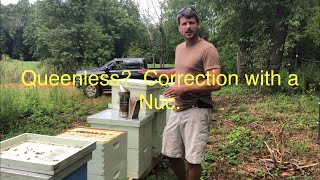 Using nucs to fix a queenless hive [upl. by Jack]