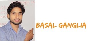 Basal Ganglia in Hindi [upl. by Rosol568]