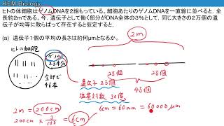 高校生物「遺伝子に関する計算問題（やや難）」 [upl. by Aiker]