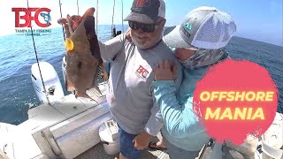 Offshore Mania Catching fish on top in 70 of water [upl. by Alded875]