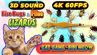 CAT GAMES TOM TV amp BiBi  Ultimate Compilation Catching The LIZARDS  Flies FireBugs🦎11 HOUR🦎Vol 29 [upl. by Laflam]