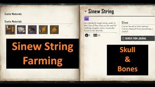 How to Farm Sinew String  Skull amp Bones [upl. by Lerred843]