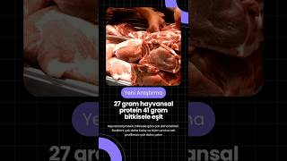 27 gram hayvansal protein  41 gram bitkisel protein sporcubeslenmesi [upl. by Dnomal377]