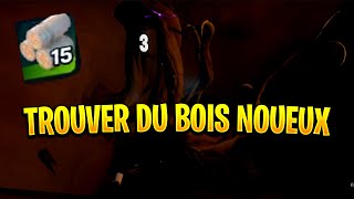 LEGO FORTNITE Fr  TROUVER DU BOIS NOUEUX ET COMMENT LE RECUPERER [upl. by Loziram413]