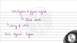 Which of the following statements is incorrect A Pyrenoids contain protein besides starch B [upl. by Petronille]