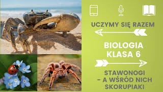 Biologia klasa 6 Stawonogi Uczymy się razem [upl. by Lachance]