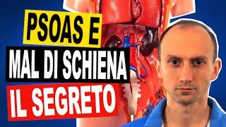 Psoas e Mal di Schiena Scopri il Legame e gli Esercizi di Fisioterapia [upl. by Meehan]