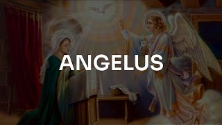 THE ANGELUS [upl. by Nudd]