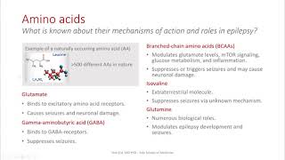 Amino Acids in Epilepsy [upl. by Luelle]